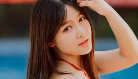 炮制熊猫虚假信息